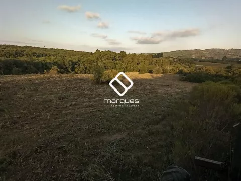 Sítio com 1m² à venda no bairro Colônia, Morro Redondo